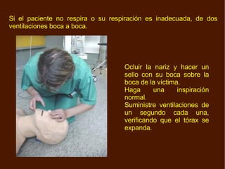 Si el paciente no respira o su respiración es inadecuada, de dos ventilaciones boca a boca. Ocluir la nariz y hacer un sello con su boca sobre la boca de la víctima. Haga una inspiración normal. Suministre ventilaciones de un segundo cada una, verificando que el tórax se expanda. 