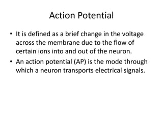 Action Potential
• It is defined as a brief change in the voltage
across the membrane due to the flow of
certain ions into and out of the neuron.
• An action potential (AP) is the mode through
which a neuron transports electrical signals.
 
