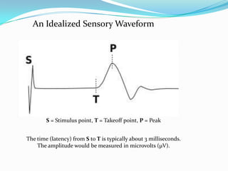 An Idealized Sensory Waveform




        S = Stimulus point, T = Takeoff point, P = Peak


The time (latency) from S to T is typically about 3 milliseconds.
    The amplitude would be measured in microvolts (μV).
 