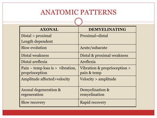 ANATOMIC PATTERNS
AXONAL DEMYELINATING
Distal > proximal
Length dependent
Proximal=distal
Slow evolution Acute/subacute
Distal weakness Distal & proximal weakness
Distal areflexia Areflexia
Pain – temp loss is > vibration,
proprioception
Vibration & proprioception >
pain & temp
Amplitude affected>velocity Velocity > amplitude
Axonal degeneration &
regeneration
Demyelination &
remyelination
Slow recovery Rapid recovery
 
