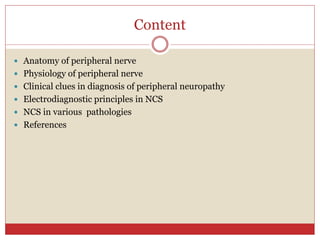 Content
 Anatomy of peripheral nerve
 Physiology of peripheral nerve
 Clinical clues in diagnosis of peripheral neuropathy
 Electrodiagnostic principles in NCS
 NCS in various pathologies
 References
 