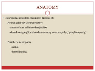 ANATOMY
 Neuropathic disorders encompass diseases of:
-Neuron cell body (neuronopathy)
-anterior horn cell disorders(MND)
-dorsal root ganglion disorders (sensory neuronopathy / ganglionopathy)
-Peripheral neuropathy
-axonal
-demyelinating
 