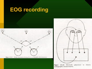 EOG recording 