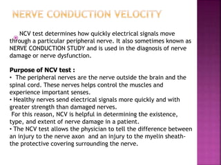 Ncv Electro diagnostic tests ppt | PPTX