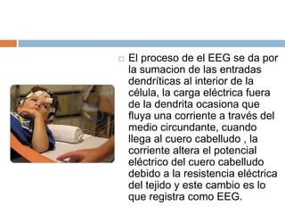  El proceso de el EEG se da por
la sumacion de las entradas
dendríticas al interior de la
célula, la carga eléctrica fuera
de la dendrita ocasiona que
fluya una corriente a través del
medio circundante, cuando
llega al cuero cabelludo , la
corriente altera el potencial
eléctrico del cuero cabelludo
debido a la resistencia eléctrica
del tejido y este cambio es lo
que registra como EEG.
 