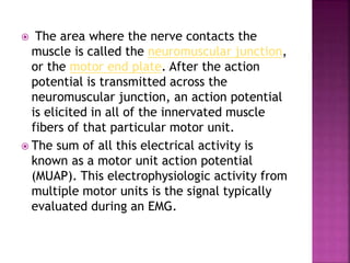  The area where the nerve contacts the
muscle is called the neuromuscular junction,
or the motor end plate. After the action
potential is transmitted across the
neuromuscular junction, an action potential
is elicited in all of the innervated muscle
fibers of that particular motor unit.
 The sum of all this electrical activity is
known as a motor unit action potential
(MUAP). This electrophysiologic activity from
multiple motor units is the signal typically
evaluated during an EMG.
 