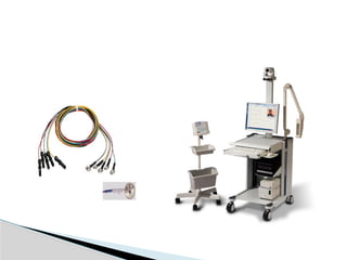 Importance of Electroencephalogram (EEG)