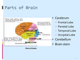 Parts of Brain
 Cerebrum
 Frontal Lobe
 Parietal Lobe
 Temporal Lobe
 Occipital Lobe
 Cerebellum
 Brain stem
Parts of brain
5
 