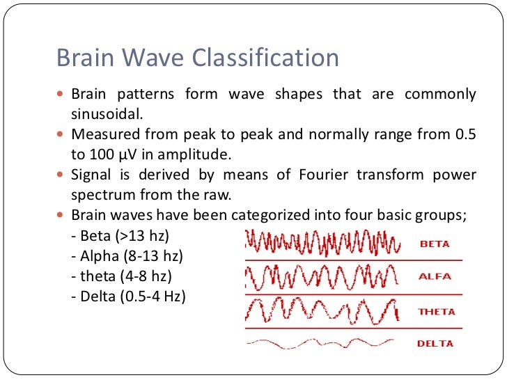 electroencephalography electroencephalography