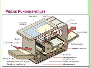 PIEZAS FUNDAMENTALES 
 