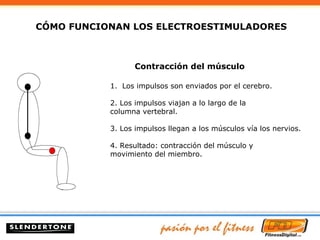 Contracción del músculo Los impulsos son enviados por el cerebro. 2. Los impulsos viajan a lo largo de la columna vertebral. 3. Los impulsos llegan a los músculos vía los nervios. 4. Resultado: contracción del músculo y movimiento del miembro. CÓMO FUNCIONAN LOS ELECTROESTIMULADORES 