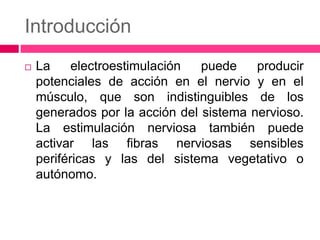 Introducción
 La electroestimulación puede producir
potenciales de acción en el nervio y en el
músculo, que son indistinguibles de los
generados por la acción del sistema nervioso.
La estimulación nerviosa también puede
activar las fibras nerviosas sensibles
periféricas y las del sistema vegetativo o
autónomo.
 