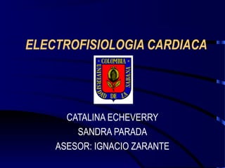 ELECTROFISIOLOGIA CARDIACA
CATALINA ECHEVERRY
SANDRA PARADA
ASESOR: IGNACIO ZARANTE
 