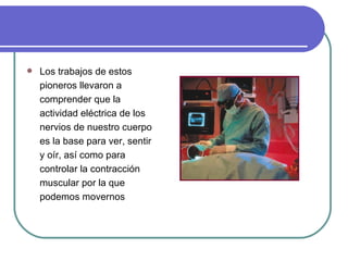 Los trabajos de estos pioneros llevaron a comprender que la actividad eléctrica de los nervios de nuestro cuerpo es la base para ver, sentir y oír, así como para controlar la contracción muscular por la que podemos movernos  