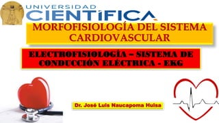 Dr. José Luis Naucapoma Huisa
MORFOFISIOLOGÍA DEL SISTEMA
CARDIOVASCULAR
ELECTROFISIOLOGÍA – SISTEMA DE
CONDUCCIÓN ELÉCTRICA - EKG
 