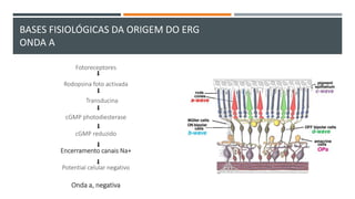 BASES FISIOLÓGICAS DA ORIGEM DO ERG
ONDA A
Fotoreceptores
Rodopsina foto activada
Transducina
cGMP photodiesterase
cGMP reduzido
Encerramento canais Na+
Potential celular negativo
Onda a, negativa
 