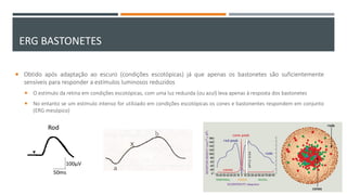 ERG BASTONETES
 Obtido após adaptação ao escuro (condições escotópicas) já que apenas os bastonetes são suficientemente
sensíveis para responder a estímulos luminosos reduzidos
 O estímulo da retina em condições escotópicas, com uma luz reduzida (ou azul) leva apenas à resposta dos bastonetes
 No entanto se um estímulo intenso for utilizado em condições escotópicas os cones e bastonentes respondem em conjunto
(ERG mesópico)
 