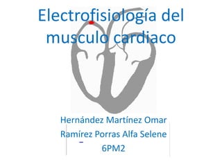 Electrofisiología del musculo cardiaco Hernández Martínez Omar Ramírez Porras Alfa Selene 6PM2 