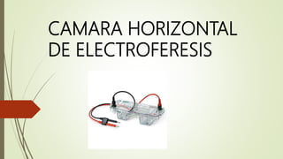 CAMARA HORIZONTAL
DE ELECTROFERESIS
 