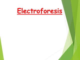 Electroforesis
 
