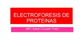 ELECTROFORESIS DE
PROTEINAS
MR1 Sabat Cruzado Tineo
 