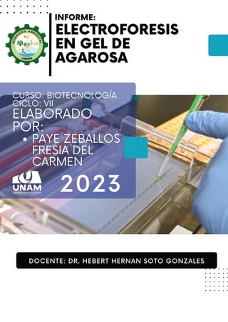 PAYE ZEBALLOS
FRESIA DEL
CARMEN
CURSO: BIOTECNOLOGÍA
CICLO: VII
ELABORADO
POR:
2023
INFORME:
ELECTROFORESIS
EN GEL DE
AGAROSA
DOCENTE: DR. HEBERT HERNAN SOTO GONZALES
 