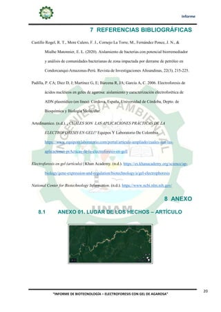 Informe
20
“INFORME DE BIOTECNOLOGÍA – ELECTROFORESIS CON GEL DE AGAROSA”
7 REFERENCIAS BIBLIOGRÁFICAS
Castillo Rogel, R. T., More Calero, F. J., Cornejo La Torre, M., Fernández Ponce, J. N., &
Mialhe Matonnier, E. L. (2020). Aislamiento de bacterias con potencial biorremediador
y análisis de comunidades bacterianas de zona impactada por derrame de petróleo en
Condorcanqui-Amazonas-Perú. Revista de Investigaciones Altoandinas, 22(3), 215-225.
Padilla, P. CA; Diez D, J; Martínez G, E; Bárcena R, JA; García A, C. 2006. Electroforesis de
ácidos nucléicos en geles de agarosa: aislamiento y caracterización electroforética de
ADN plasmídico (en línea). Córdova, España, Universidad de Córdoba, Depto. de
Bioquímica y Biología Molecular.
Artedinamico. (n.d.). ¿CUALES SON LAS APLICACIONES PRÁCTICAS DE LA
ELECTROFORESIS EN GELl? Equipos Y Laboratorio De Colombia.
https://www.equiposylaboratorio.com/portal/articulo-ampliado/cuales-son-las-
aplicaciones-prActicas-de-la-electroforesis-en-gell
Electroforesis en gel (artículo) | Khan Academy. (n.d.). https://es.khanacademy.org/science/ap-
biology/gene-expression-and-regulation/biotechnology/a/gel-electrophoresis
National Center for Biotechnology Information. (n.d.). https://www.ncbi.nlm.nih.gov/
8 ANEXO
8.1 ANEXO 01. LUGAR DE LOS HECHOS – ARTÍCULO
 