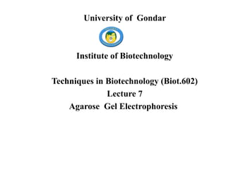 University of Gondar
Institute of Biotechnology
Techniques in Biotechnology (Biot.602)
Lecture 7
Agarose Gel Electrophoresis
 