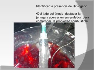 Identificar la presencia de Hidrogeno

•Del lado del ánodo destapar la
jeringa y acercar un encendedor para
comprobar la propiedad combustible
del hidrogeno
 