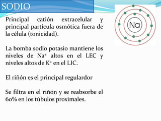 Importancia fisiológicaDeterminan :OsmolaridadEstado de hidrataciónpH del líquido intracelular y extracelularPotencial de membrana plasmática