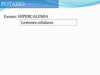 SODIOPrincipal catión extracelular y principal partícula osmótica fuera de la célula (tonicidad).La bomba sodio potasio mantiene los niveles de Na+altos en el LEC y niveles altos de K+en el LIC.El riñón es el principal regulardorSe filtra en el riñón y se reabsorbe el 60% en los túbulos proximales.