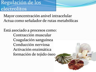 SODIOConcentración en suero: 135 – 145 mmol/L.Déficit produce  HIPONATREMIAExceso:  HIPERNATREMIAAlteraciones neurológicas.NauseasEspasmos muscularesCualiuqer tipo de pérdida de agua: deshidratación