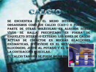 CALCIOSe encuentra en el medio interno de los organismos como ion calcio (Ca2+) o formando parte de otras moléculas; en algunos seres vivos se halla precipitado en forma de esqueleto interno o externo. Los iones de calcio actúan de cofactor en muchas reacciones enzimáticas, interviene en el metabolismo del glucógeno, junto al potasio y el sodio regulan la contracción muscular.El calcio también se puede medir en la orina