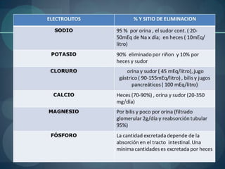 Mg- -ANIONES: Iones Negativos que migran al ánodo (polo positivo). Ejemplo:Cl-