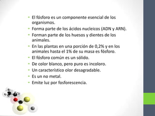• El fósforo es un componente esencial de los
  organismos.
• Forma parte de los ácidos nucleicos (ADN y ARN).
• Forman parte de los huesos y dientes de los
  animales.
• En las plantas en una porción de 0,2% y en los
  animales hasta el 1% de su masa es fósforo.
• El fósforo común es un sólido.
• De color blanco, pero puro es incoloro.
• Un característico olor desagradable.
• Es un no metal.
• Emite luz por fosforescencia.
 