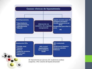 HE: hiponatremia por ejercicio; ICC: insuficiencia cardíaca
congestiva; VFEx: volumen del líquido extracelular
 