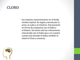 CLORO

        • Sus mayores concentraciones en el fluido
          cerebro-espinal. Se regula y excreta por la
          orina, el sudor y el intestino. Está presente
          en forma de compuesto con el Sodio y
          el Potasio. De hecho está tan íntimamente
          relacionado con el Sodio que si en nuestro
          cuerpo está elevado el Sodio, también lo
          estará el Cloro y viceversa
 
