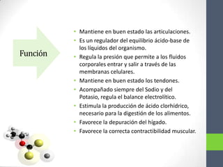 • Mantiene en buen estado las articulaciones.
          • Es un regulador del equilibrio ácido-base de
            los líquidos del organismo.
Función   • Regula la presión que permite a los fluidos
            corporales entrar y salir a través de las
            membranas celulares.
          • Mantiene en buen estado los tendones.
          • Acompañado siempre del Sodio y del
            Potasio, regula el balance electrolítico.
          • Estimula la producción de ácido clorhídrico,
            necesario para la digestión de los alimentos.
          • Favorece la depuración del hígado.
          • Favorece la correcta contractibilidad muscular.
 