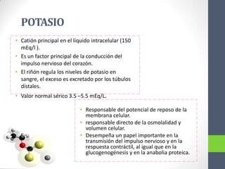 POTASIO
• Catión principal en el líquido intracelular (150
  mEq/l ).
• Es un factor principal de la conducción del
  impulso nervioso del corazón.
• El riñón regula los niveles de potasio en
  sangre, el exceso es excretado por los túbulos
  dístales.
• Valor normal sérico 3.5 –5.5 mEq/L.

                            • Responsable del potencial de reposo de la
                              membrana celular.
                            • responsable directo de la osmolalidad y
                              volumen celular.
                            • Desempeña un papel importante en la
                              transmisión del impulso nervioso y en la
                              respuesta contráctil, al igual que en la
                              glucogenogénesis y en la anabolia proteica.
 