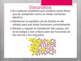 Electrolitos
 Es cualquier sustancia que contiene iones libres
que se comportan como un medio conductor
eléctrico.
 Mantienen el equilibrio de los fluidos en las
células para que éstas funcionen correctamente.
 Afectan y regulan la hidratación del cuerpo, pH
de la sangre y son críticos para las funciones de
los nervios y los músculos.
 