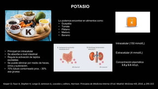 POTASIO
• Principal ion intracelular
• Se absorbe a nivel intestinal
• Regula la activación de tejidos
excitables
• Se puede eliminar por medio de heces,
orina y sudoración.
• 70% túbulo contorneado prox. - 30%
asa gruesa.
Extracelular (4 mmol/L)
Concentración plasmática
3.5 y 5.5 mEq/L
Kasper D, Fauci A, Stephen H, Longo D, Jameson JL, Loscalzo J, editors, Harrison. Principios de Medicina Interna 19 ed. Madrid: McGraw Hill; 2016. p 295-315
Lo podemos encontrar en alimentos como:
• Guayaba
• Tomate
• Plátano
• Maduro
• Banano
Intracelular (150 mmol/L)
 
