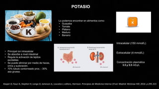 POTASIO
• Principal ion intracelular
• Se absorbe a nivel intestinal
• Regula la activación de tejidos
excitables
• Se puede eliminar por medio de heces,
orina y sudoración.
• 70% túbulo contorneado prox. - 30%
asa gruesa.
Intracelular (150 mmol/L)
Extracelular (4 mmol/L)
Concentración plasmática
3.5 y 5.5 mEq/L
Kasper D, Fauci A, Stephen H, Longo D, Jameson JL, Loscalzo J, editors, Harrison. Principios de Medicina Interna 19 ed. Madrid: McGraw Hill; 2016. p 295-315
Lo podemos encontrar en alimentos como:
• Guayaba
• Tomate
• Plátano
• Maduro
• Banano
 