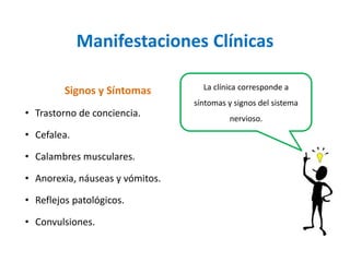 Manifestaciones Clínicas 
Signos y Síntomas 
•Trastornodeconciencia. 
•Cefalea. 
•Calambresmusculares. 
•Anorexia,náuseasyvómitos. 
•Reflejospatológicos. 
•Convulsiones. 
La clínica corresponde a síntomas y signos del sistema nervioso.  