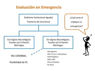 Evaluación en Emergencia 
Síndrome Confusional Agudo/ 
Trastorno de Conciencia 
Sin Signos Neurológicos Focales y/o Irritación Meníngea 
Con Signos Neurológicos Focales y/o Irritación Meníngea 
TAC CEREBRAL 
Hemograma 
HGT / G-U-C / Electrolitos 
Perfil Hepático 
AGA / EKG 
Orina Completa 
RxTórax. 
Posibilidad de PL 
¿Cuál seria el enfoque en emergencia?  