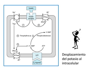 Desplazamiento del potasio al intracelular  