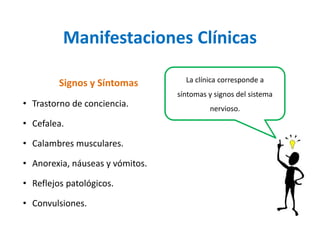 Manifestaciones Clínicas 
Signos y Síntomas 
•Trastornodeconciencia. 
•Cefalea. 
•Calambresmusculares. 
•Anorexia,náuseasyvómitos. 
•Reflejospatológicos. 
•Convulsiones. 
La clínica corresponde a síntomas y signos del sistema nervioso.  