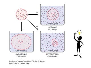 Textbook of medical physiology / Arthur C. Guyton, John E. Hall.—11th ed. 2006.  
