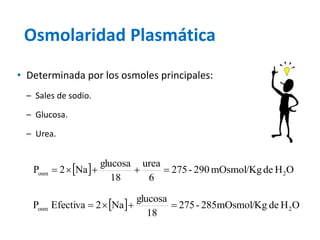 Osmolaridad Plasmática 
  275 - 290 mOsmol/Kg de H O 
6 
urea 
18 
glucosa 
P 2 Na osm 2      
• Determinada por los osmoles principales: 
– Sales de sodio. 
– Glucosa. 
– Urea. 
  275 - 285mOsmol/Kg de H O 
18 
glucosa 
P Efectiva 2 Na osm 2     
 