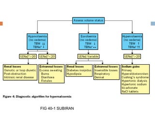 FIG 40-1 SUBIRAN
 