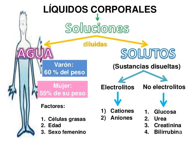 Electrolitos sericos EGO